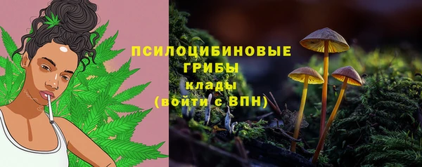 герыч Вяземский