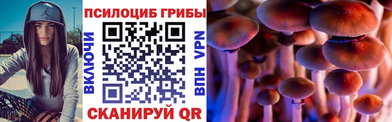 Купить  Пучеж  Псилоцибиновые грибы GOLDEN TEACHER 